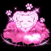 Kitty Rocket